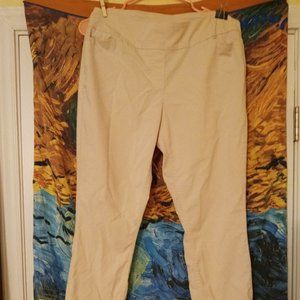 Light tan stretch tight fitting pants